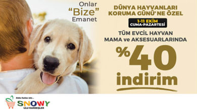  fotoğrafı
