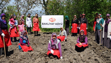  fotoğrafı